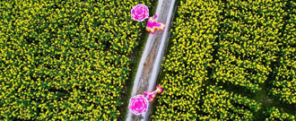 高山梯田绽放&ldquo;创意油菜花&rdquo;