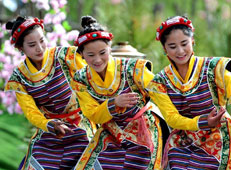 林芝桃花节 最美桃花源