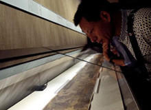 国庆看展哪家强 故宫大展排队忙