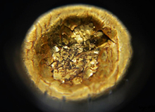 “海昏侯墓”热度发酵进行时