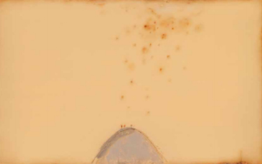 陈淑霞作品欣赏