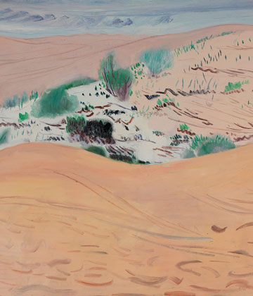 庫布齊大沙漠—恩格貝