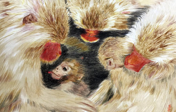 单婷玉 江苏省 《别怕，有我们在！》