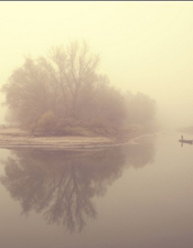 雾中的朦胧之美