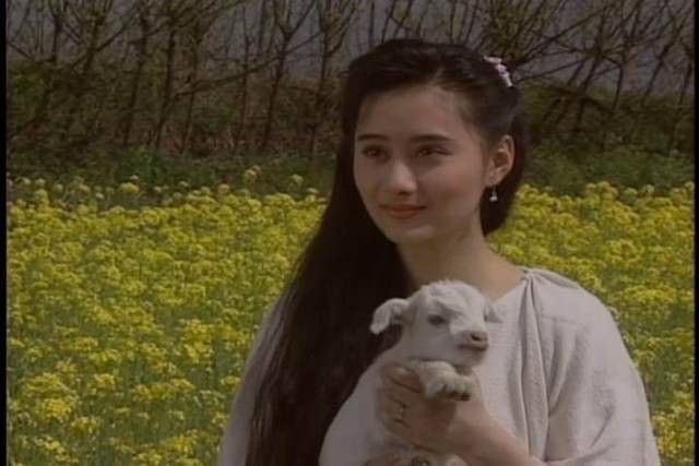 盘点娱乐圈长相过硬的天然美女