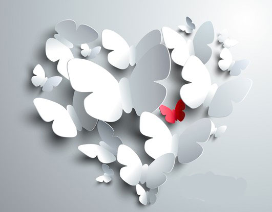 高校群英谱：身边英雄 点燃“善”的星星之火