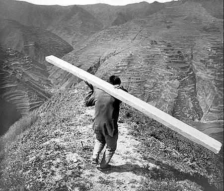 王世明扛着木头回家 陈庆港摄