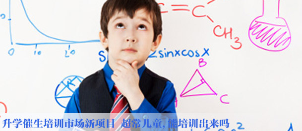 升学催生培训市场新项目 超常儿童,能培训出来吗