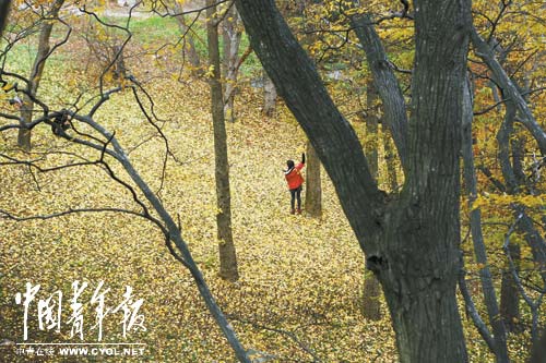 游学韩国:珍视传统 找寻自己(组图)