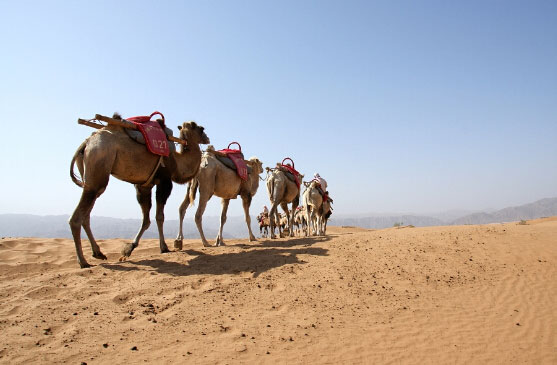 宁夏环保"绿色护考" 中高考期间噪声扰民一律严处