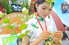 茉莉花艺术品制作工艺