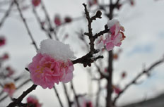 教师作品之刘春