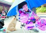 盘点明星各式扮嫩神器
