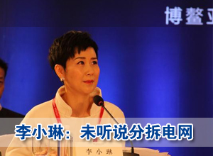 李小琳称未听说分拆电网 将致力绿色智能电力