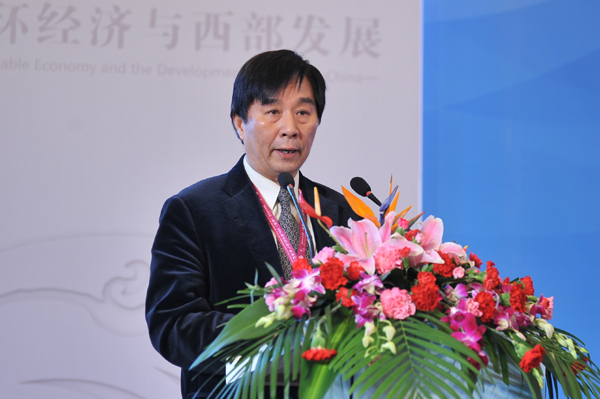 科技部原副部长、国务院参事刘燕华