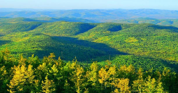 发展促进经济转型 实现林区可持续发展