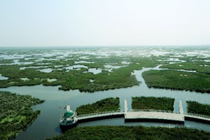 鸟瞰大庆龙凤湿地（图）