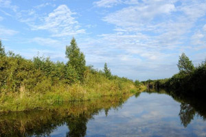 镜幻乌伊岭湿地 宛若仙境