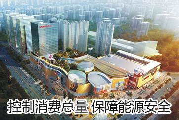 控制消费总量 保障能源安全