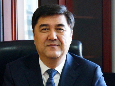 努尔·白克力:主动适应新常态 力推能源生产消费革命