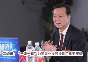 邓崎琳:尽快淘汰落后产能 实现真正的产业升级