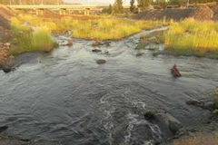 "霍州煤电"成"污染常客" 上月处罚下月还违法