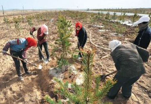 北京沙化土地五年减少三十七万亩
