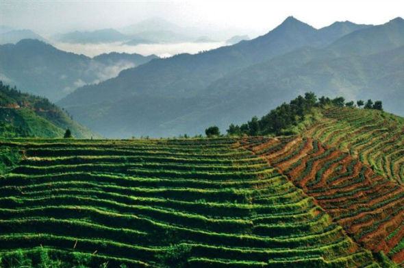 &ldquo;最绿省份&rdquo;释放生态红利