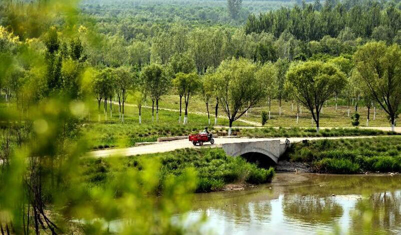 北京：平原造林打造绿色首都