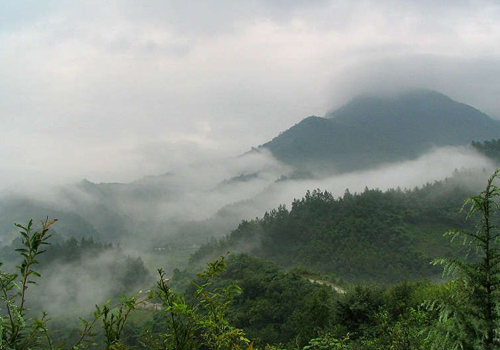 陕西自然保护区10年增加15万公顷