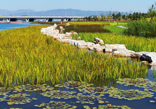 北京将建三环水系促水循环