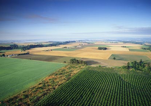 农业面源污染局部有好转总体不乐观