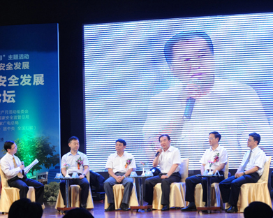 2012（第二届）中国能源高层对话暨首届安全发展高峰论坛
