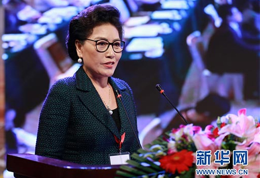 田林芝谈能源一带一路