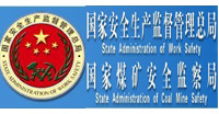 国家安全生产监督管理总局网站