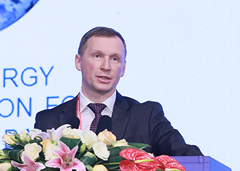 俄罗斯电网第一副总经理罗曼&middot;别尔德尼科夫