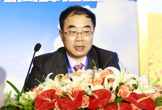 协鑫新能源副总裁徐阳主旨演讲