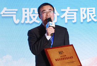 华为技术有限公司荣获“2016最佳光伏逆变器企业奖”