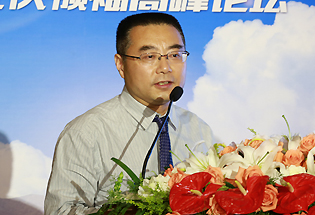 中国电力科学院新能源研究所副所长丁杰发表主题演讲