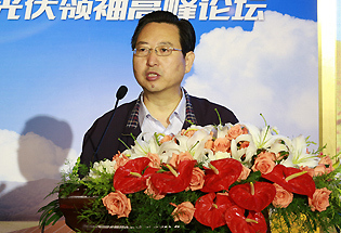 中国电力企业联合会专职副理事长王志轩演讲