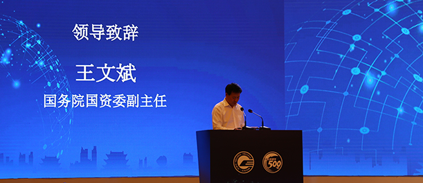 国务院国资委副主任王文斌致辞