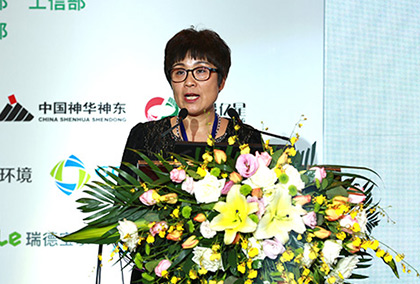 北京清新环境技术股份有限公司营销总监、监事会主席王月淼致辞
