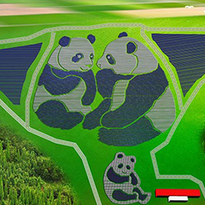 萌萌哒&ldquo;熊猫电站&rdquo;来啦！