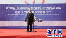 全球首个熊猫光伏电站大同开工 乐叶光伏供应高效单晶组件