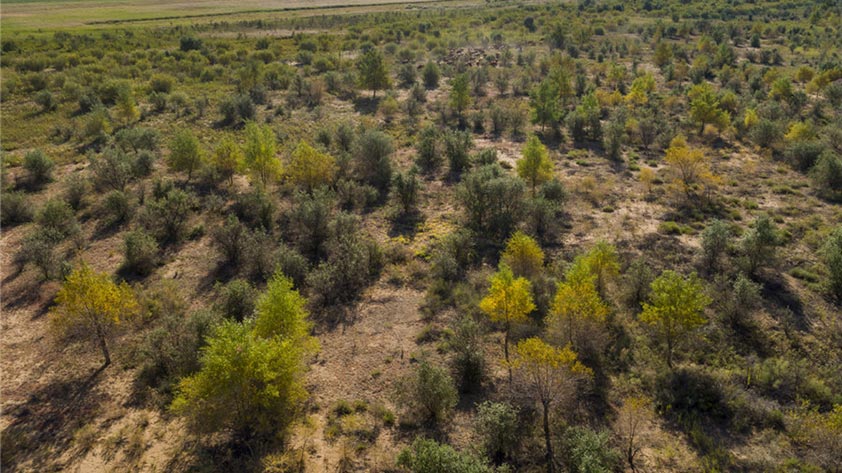 脱贫攻坚看中国：美国摄影大师眼中的库布其沙漠 (1/ 20)