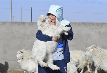 花姐：巾帼致富梦