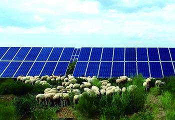 库布其模式&mdash;&mdash;给世界的启迪