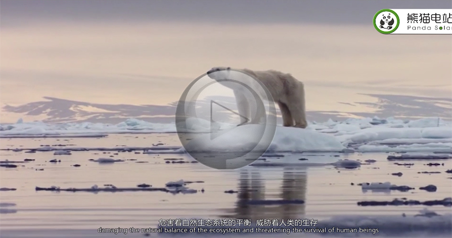 【视频】让熊猫的微笑走向世界