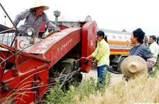 中石油采取措施保障&ldquo;三夏&rdquo;农用柴油供应