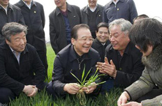 温家宝：油价若涨将直补农民